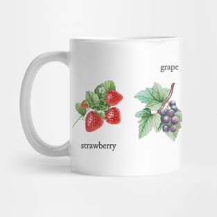 fruits Mug